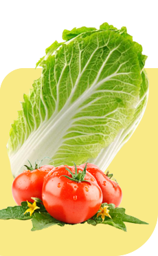 李樂園蔬菜配送