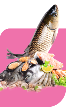 李樂園蔬菜配送