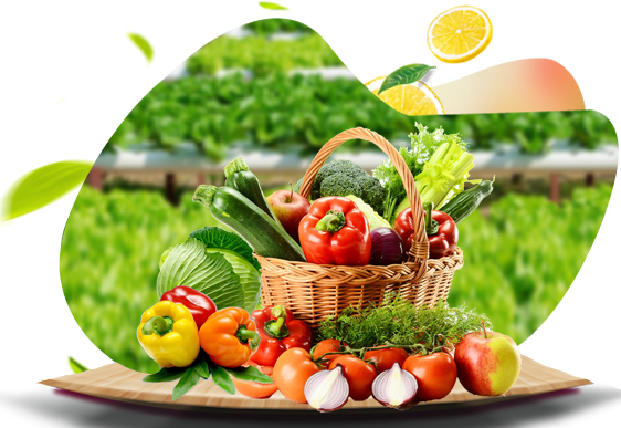 李樂園蔬菜配送